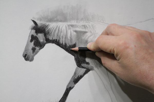 how to draw a realistic horse