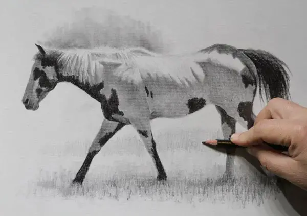 Lying horse lineart, black horse sketch, png | PNGEgg