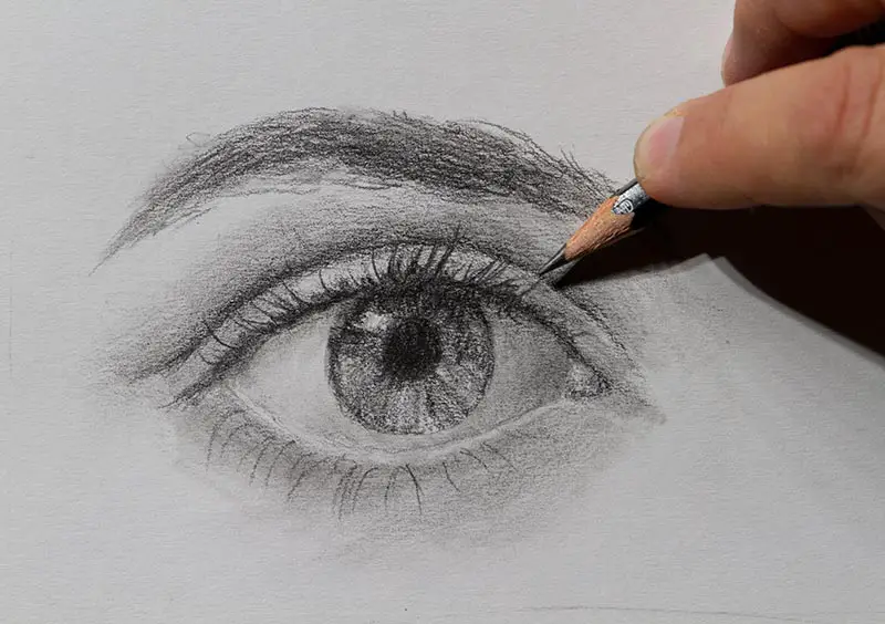 Draw a labelled sketch of the human eye